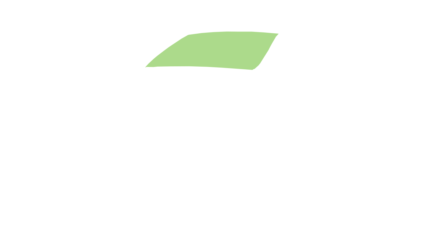TINT WINDSHIELD