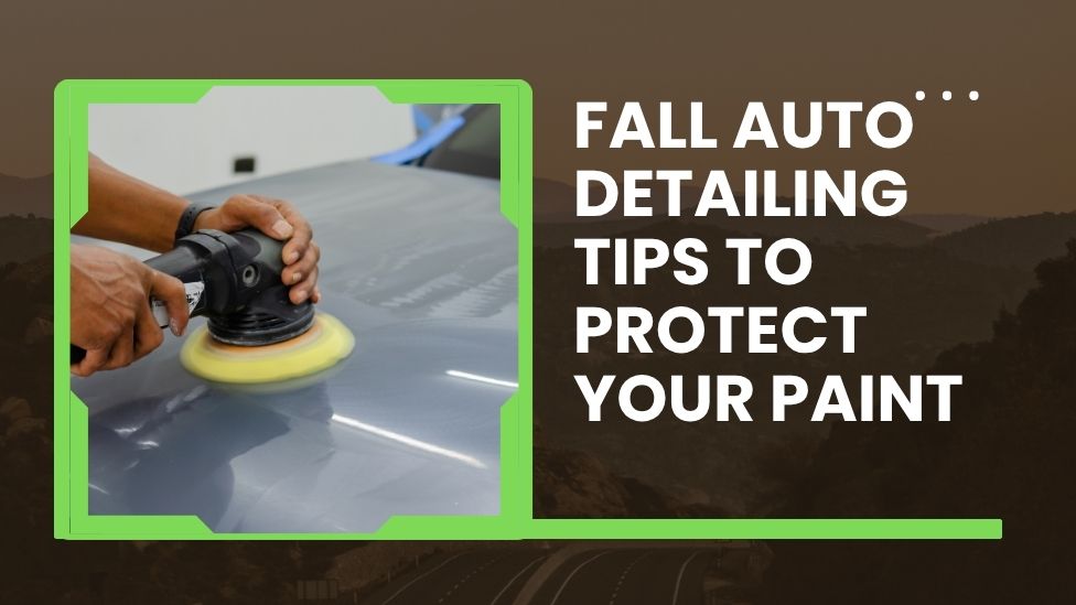 Fall Auto Detailing Tips to Protect Your Paint - Premier Vehicle Films